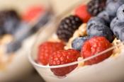 How To Use Probiotics For Ulcers Treatment